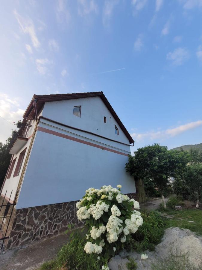 Vila Castelana Caciulata Eksteriør billede